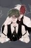 Villain with a Heart (Todoroki X Villain!Deku) Soulmate!AU