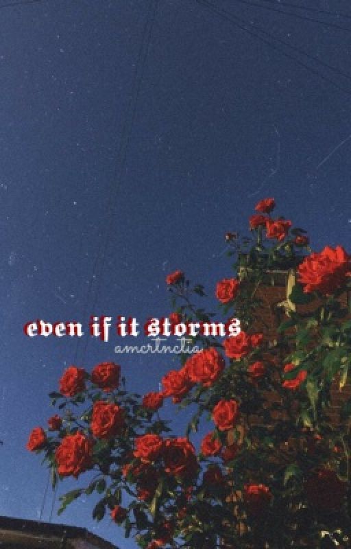 even if it storms by amcrtcntia