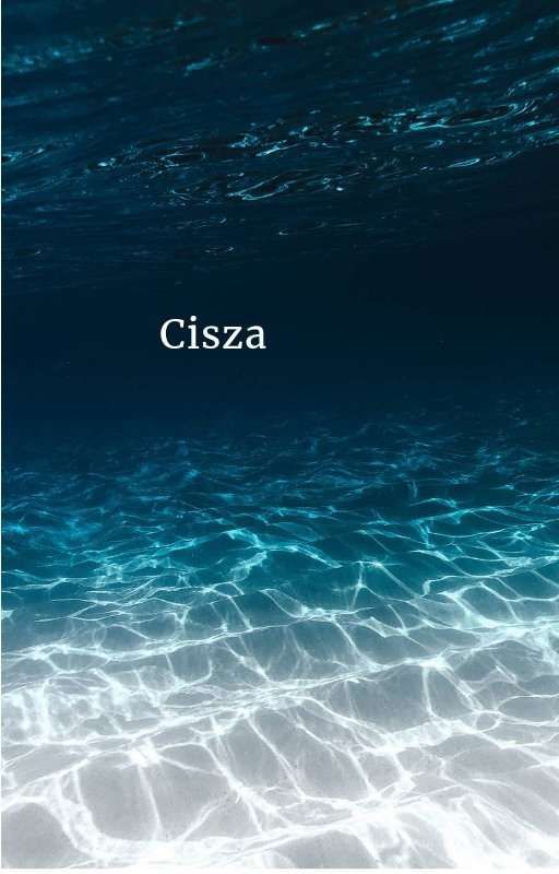 Cisza by BeataBorzcka