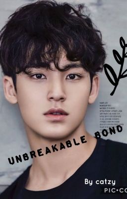 ☾☼Unbreakable Bond ~ Mingyu ff☼☽ cover