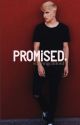 promised || sequel to trusted {COMPLETED} by starringclifford