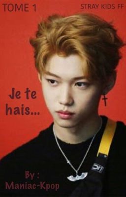 Je te hais... TOME 1 (STRAY KIDS FF) [TERMINÉE] cover