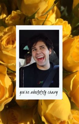 you're absolutely crazy » david dobrik cover