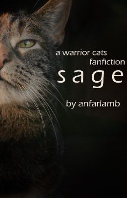 sage | a warrior cats fanfiction cover