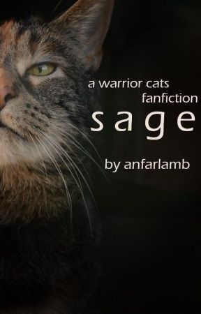 sage | a warrior cats fanfiction by anfarlamb