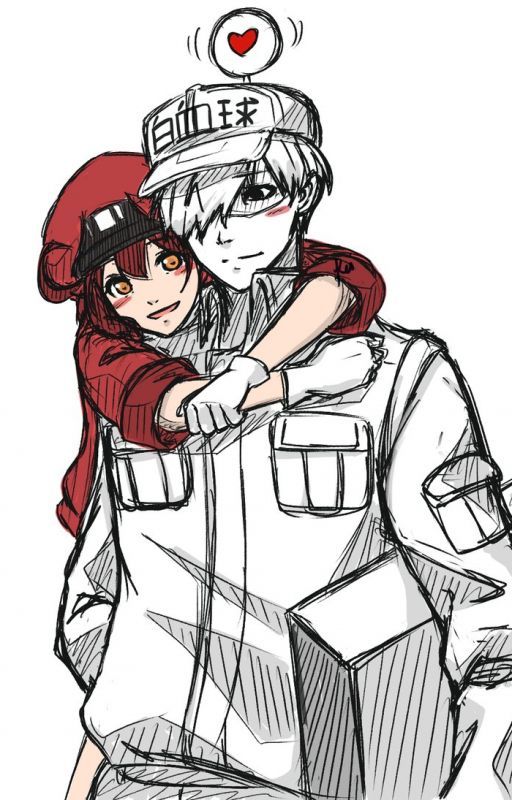 Cells At Work! (Red Blood Cell x White Blood Cell) Oneshots by EmilyLuvsFoxs