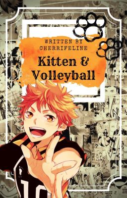 《Kitten & Volleyball》[Old/Discontinued] cover