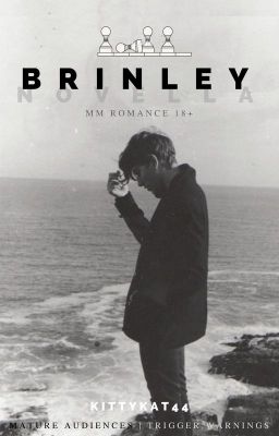 Brinley ✓ | Gay MM Romance | 18  cover