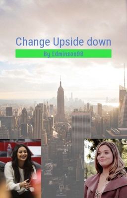 Change Up Side Down cover