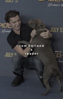 tom holland x reader - social media cover