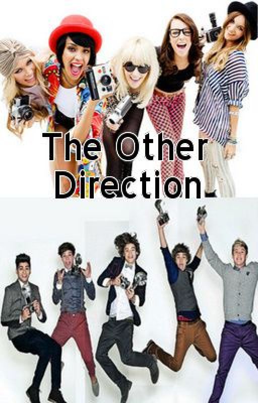 The Other Direction (A One Direction Story) by ThoseRaeChicks