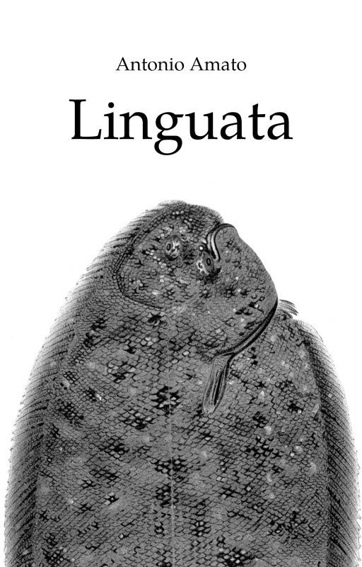 Linguata by anemoa83