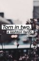 Torn in two - Lashton by toxic-mikey