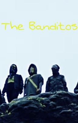 -The Banditos- cover