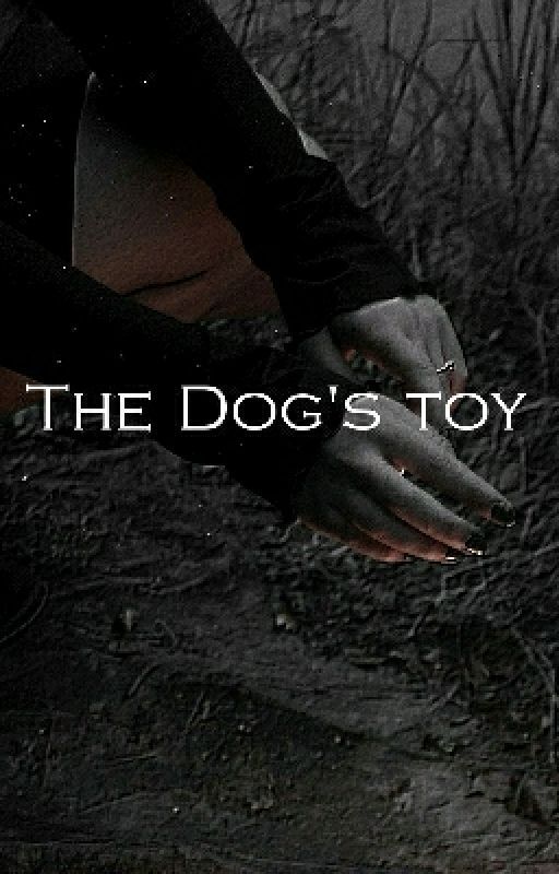 The Dog's Toy  by sjnons