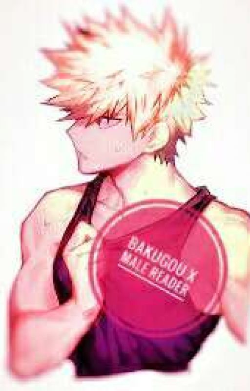 Bakugou x Male Reader 🌼🌻 ☁ 🍁❄ by TenshiStormz5