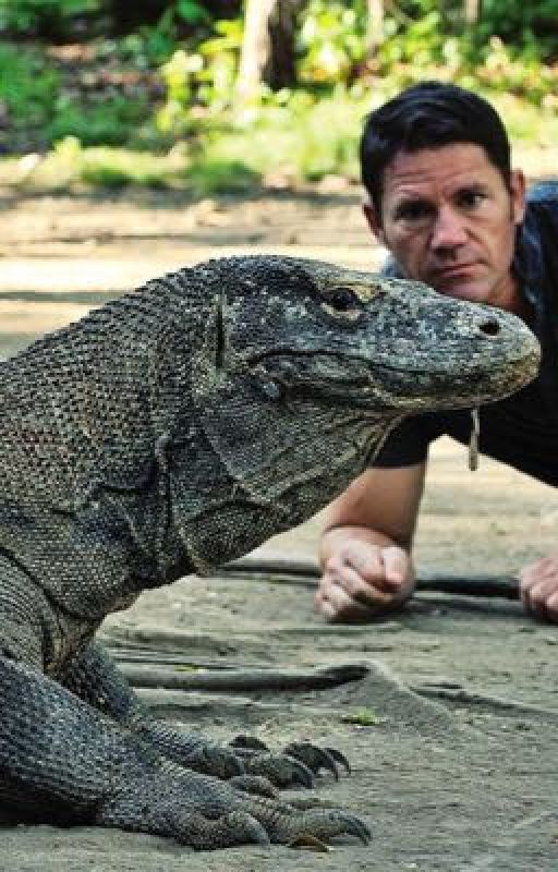 Steve Backshall is a legend  by smallveges