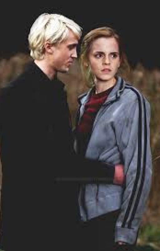 Dramione back at Hogwarts (reunion) by ritzcrackers26