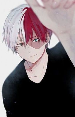 Cold Embraces and Hot Kisses (Shouto Todoroki/Reader) cover