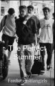 The Perfect Summer by Fanfiction4fangirls