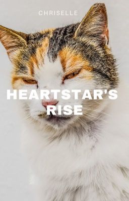 Heartstar's rise : Book one cover