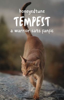 Tempest || A WC Novel cover