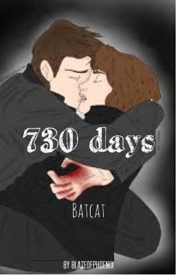 730 days~ Batcat cover