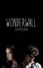 Wonderwall (The Maze Runner, Newt)