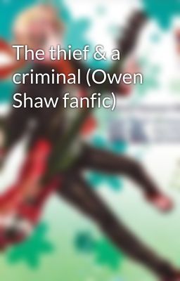 The thief & a criminal (Owen Shaw fanfic) cover