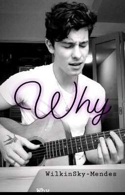 •Why• Shawn Mendes • cover