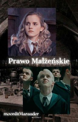 Prawo Małżeńskie | Dramione cover