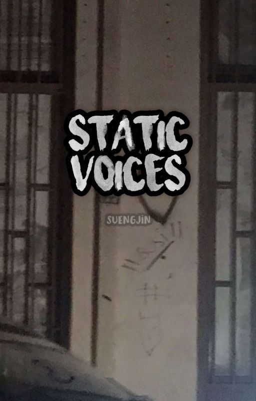 static voices • skz by suengjin