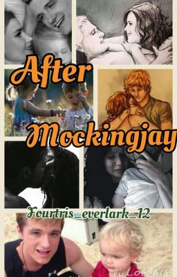 After Mockingjay cover