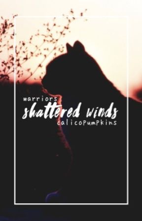 warriors ✧ shattered winds by calicopumpkins