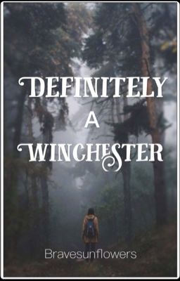 Definitely A Winchester {1} cover