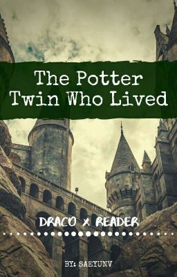 The Potter Twin Who Lived  (Draco X Reader) (Book 1) [DISCONTINUED] cover