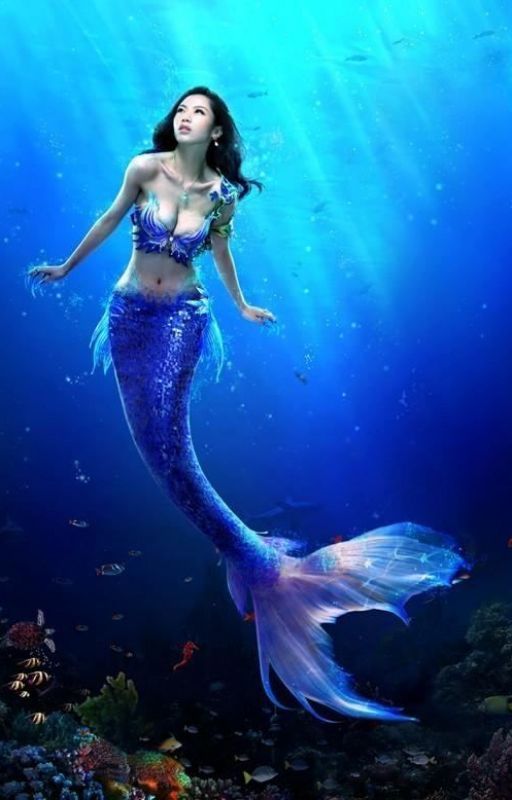 Mermaid Story by smoer1