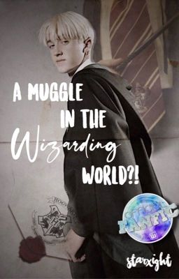 A Muggle In The Wizarding World?!  cover