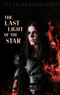 The Last Light of the Star cover