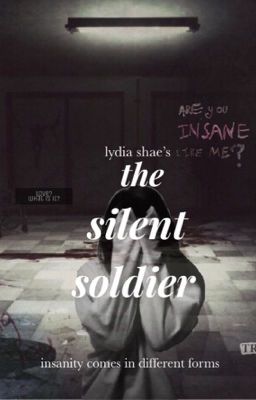 The Silent Soldier (b.b.) cover