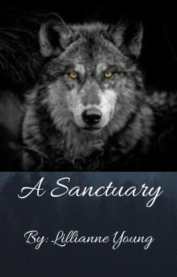 A Sanctuary cover