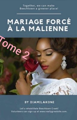 Un Mariage Forcé à La Malienne ( Tome 2 )~FIN cover