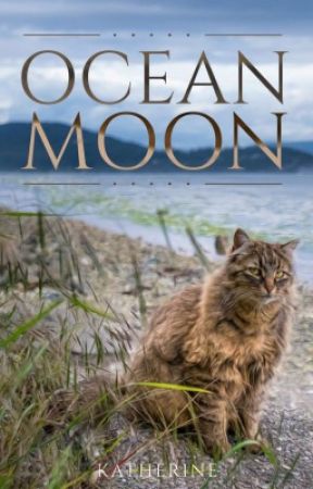 OCEAN MOON  ༄  a warrior cats fan-fiction by katherine-the-rose