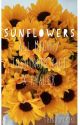 Sunflowers (All Might/Toshinori Yagi x Reader) by mossdummy