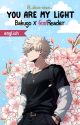 •You are my light•| Bakugo x Reader by _alicia-chan_