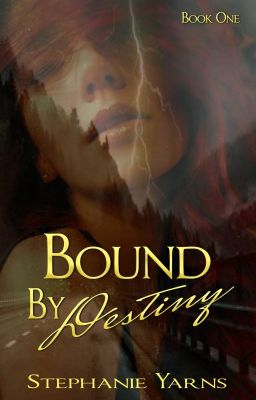 Bound by Destiny cover