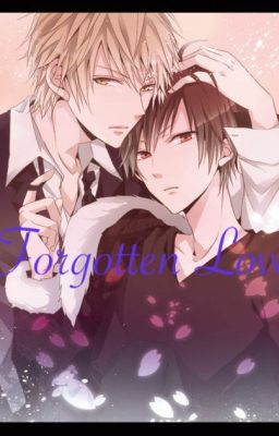 Forgotten Love? (Shizaya fanfic) cover