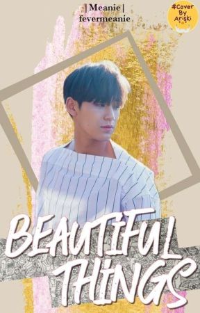 [ONHOLD] Beautiful Things • Meanie by fevermeanie