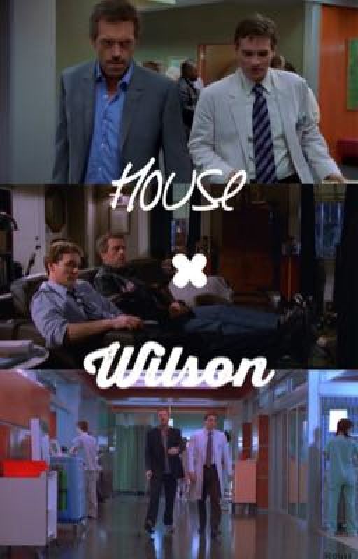 House x Wilson by bobboe1