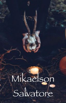 Mikaelson Salvatore  cover